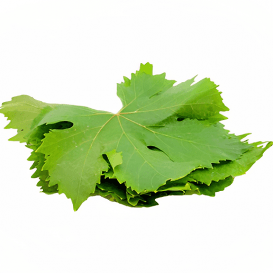 ورق عنب